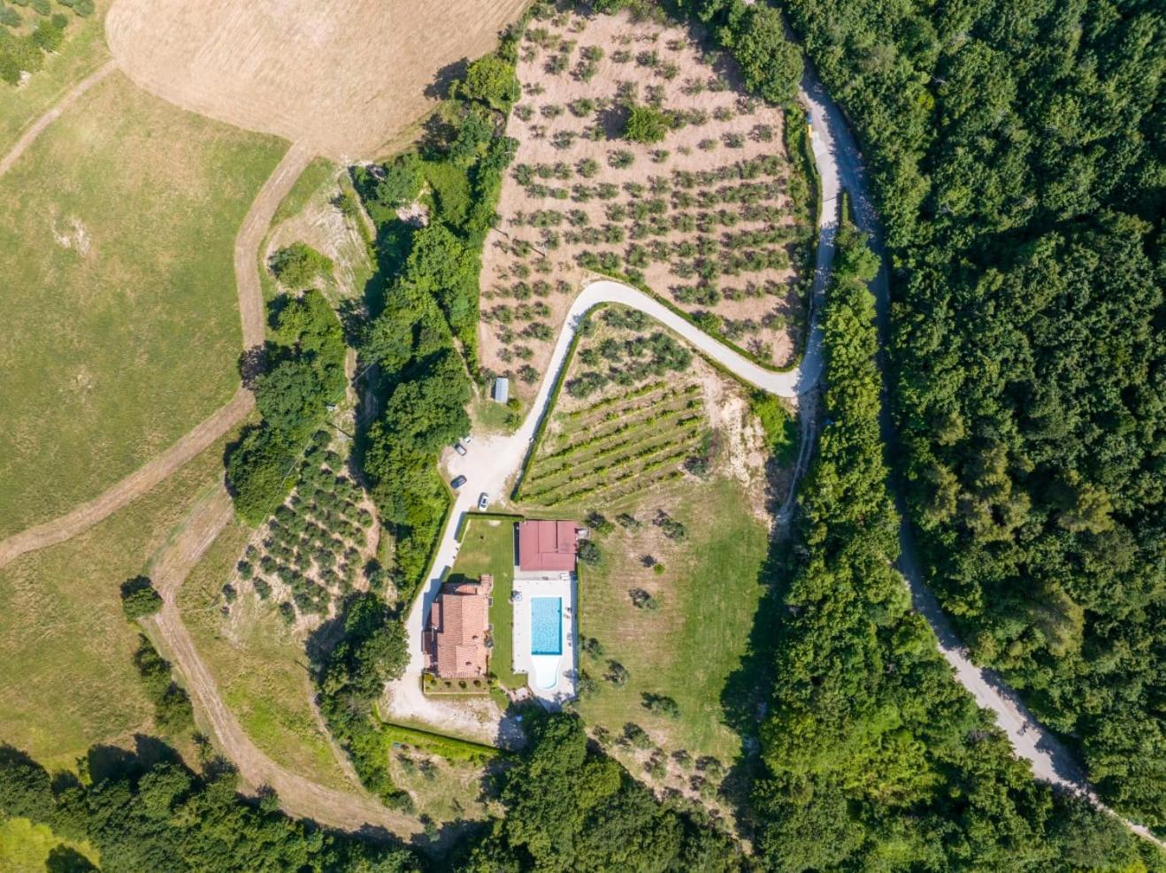 Agriturismo Isola Verde Sant'Urbano Ngoại thất bức ảnh