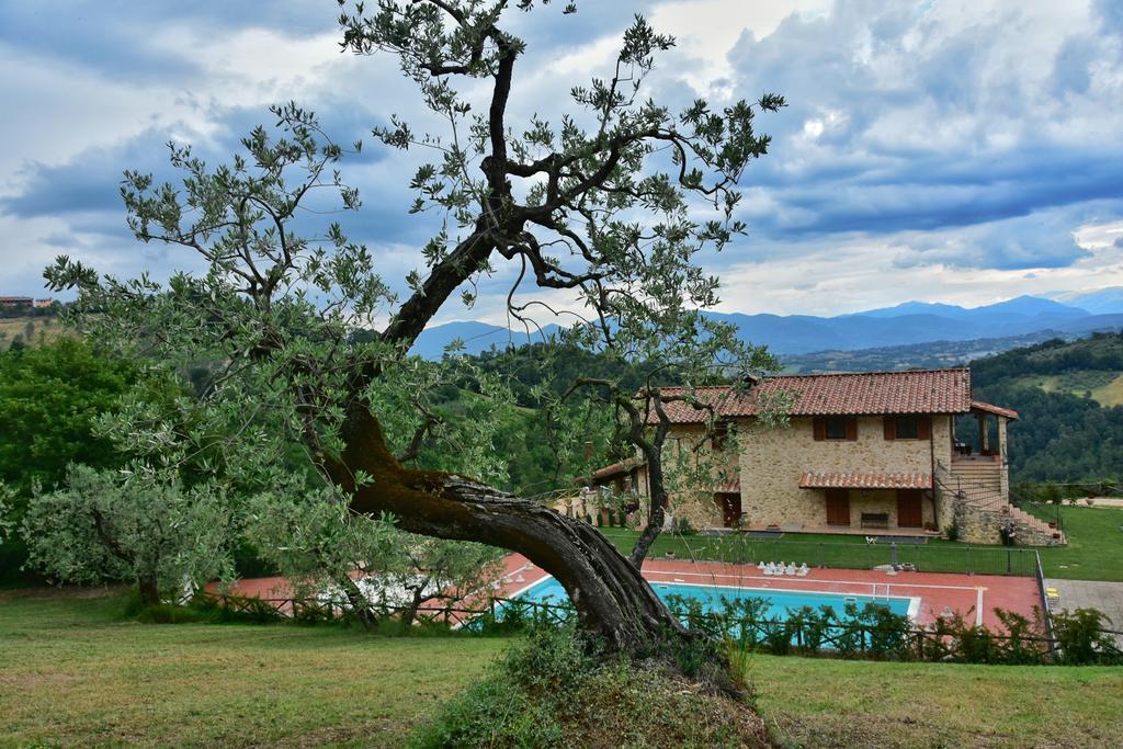 Agriturismo Isola Verde Sant'Urbano Ngoại thất bức ảnh