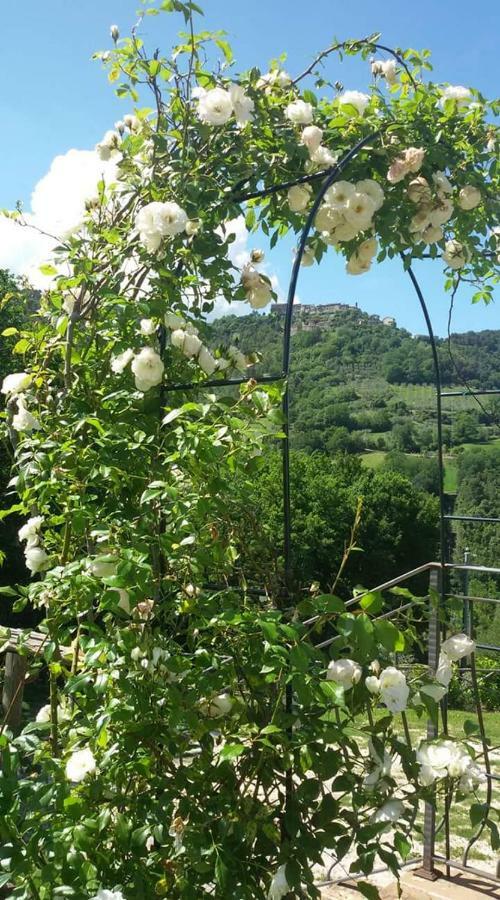 Agriturismo Isola Verde Sant'Urbano Ngoại thất bức ảnh