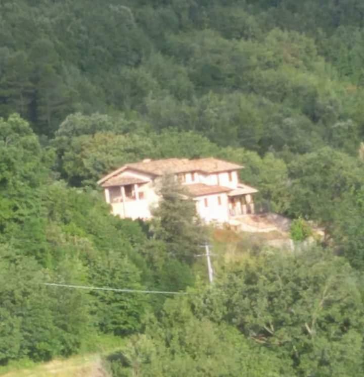 Agriturismo Isola Verde Sant'Urbano Ngoại thất bức ảnh