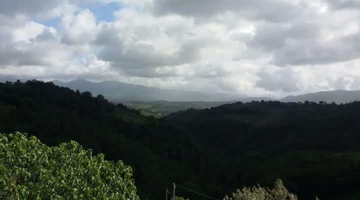 Agriturismo Isola Verde Sant'Urbano Ngoại thất bức ảnh