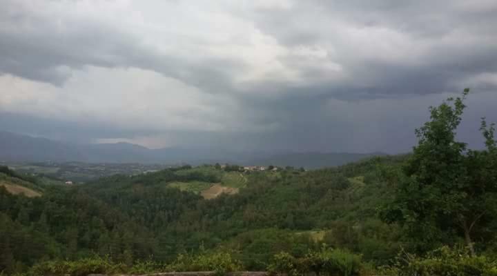 Agriturismo Isola Verde Sant'Urbano Ngoại thất bức ảnh